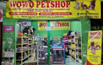 Wowo Petshop Sampang - Sampang, Jawa Timur