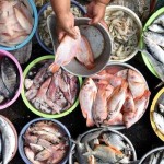 Pasar Ikan - Medan, Sumatera Utara