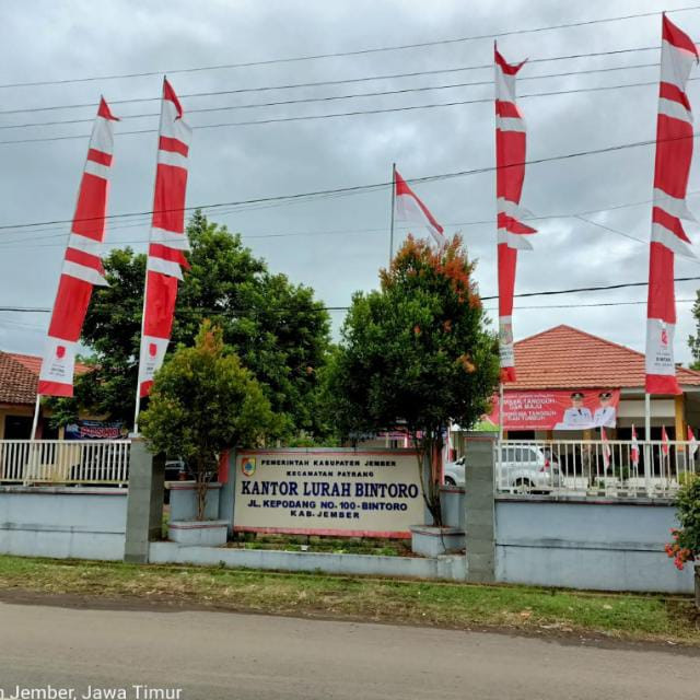 Desa Bintoro - Jember, Jawa Timur