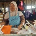 Mbah Sutris Ayam Potong - Lampung Timur, Lampung