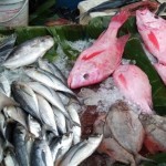 Pasar Ikan Bratang - Surabaya, Jawa Timur