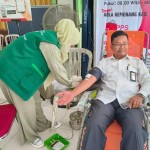 UTD Unit Transfusi Darah kab.Wajo - Wajo, Sulawesi Selatan