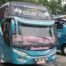 Bus PMTOH - Pekanbaru - Pekanbaru, Riau