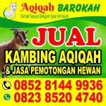 Kambing Aqiqah Barokah Fazlur - Kampar, Riau