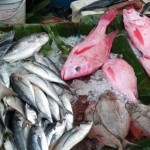 Pasar Ikan Pengapon - Semarang, Jawa Tengah