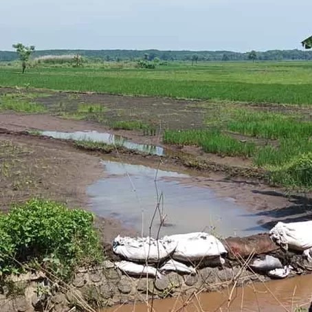 Desa Pesisir - Probolinggo, Jawa Timur