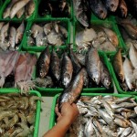 Fish Market (Pasar Cinde) - Tegal, Jawa Tengah