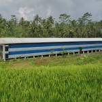 Kandang Ayam Broiler Munadlir Farm B - Wonosobo, Jawa Tengah