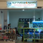 RLP Petshop & Aquatic - Tangerang, Banten