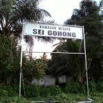 Desa Sei Gohong - Palangka Raya, Kalimantan Tengah