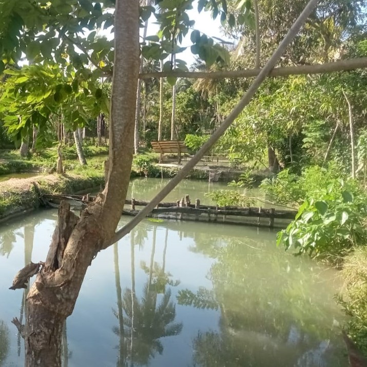 Pemancingan Ikan Nila - Kendari, Sulawesi Tenggara