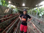 Peternakan Seruni Farm Sragen