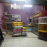 Star Petshop - Demak, Jawa Tengah