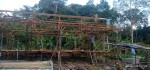Istana Kambing Lempake Samarinda