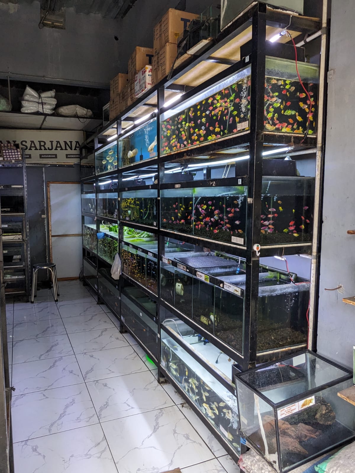 Sarjana Ikan & Pet Shop Temanggung