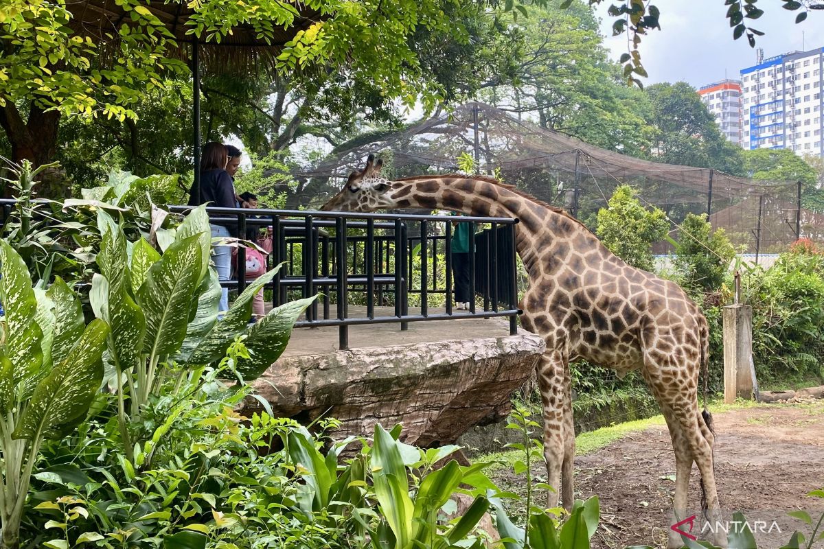 Pontianak Zoo - Pontianak, Kalimantan Barat