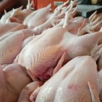 Iis Berkah Ayam Potong - Banjarnegara, Jawa Tengah