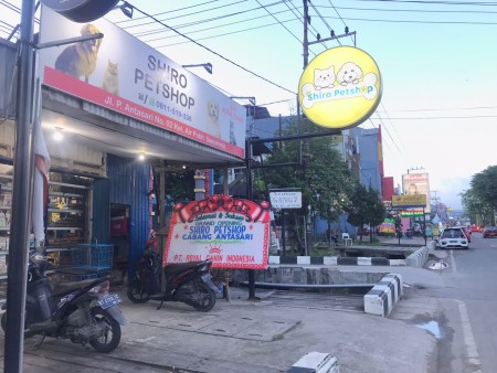 Shiro Petshop Antasari - Samarinda, Kalimantan Timur