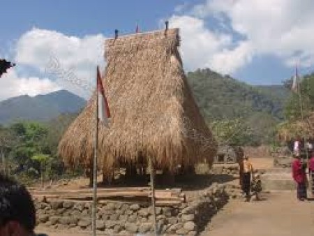 Desa Wolo Tolo - Ende, Nusa Tenggara Timur