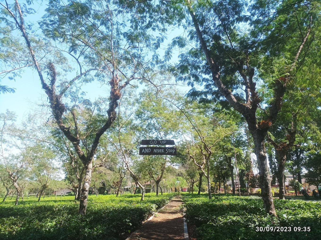 Bumi Perkemahan Semugih - Pemalang, Jawa Tengah