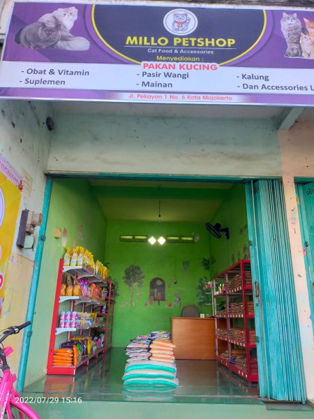 Millo Petshop Mojokerto Millo Petshop Mojokerto