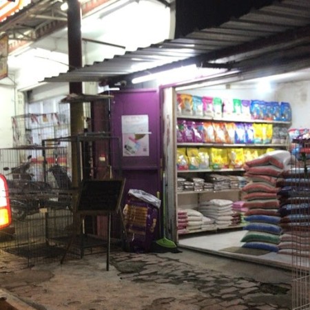 Ciprut Pet Shop - Jember, Jawa Timur