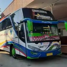 Loket Bus Transport Express Jaya Dan Handoyo - Bungo, Jambi Loket Bus Transport Express Jaya Dan Handoyo - Bungo, Jambi