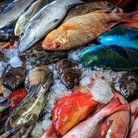 Wameo Fish Market - Baubau, Sulawesi Tenggara