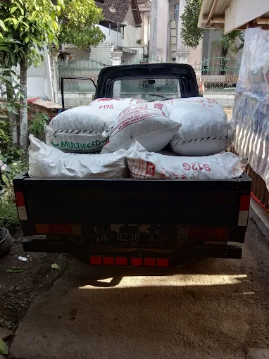 Sahabat Cabe Jamu Banyuwangi Sahabat Cabe Jamu Banyuwangi
