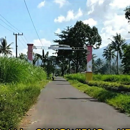 Desa Sumaga - Bondowoso, Jawa Timur Desa Sumaga - Bondowoso, Jawa Timur