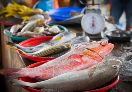 Pasar Ikan Lamongan - Lamongan, Jawa Timur