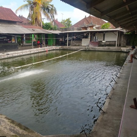 Lejon Kolam Pancing - Denpasar, Bali