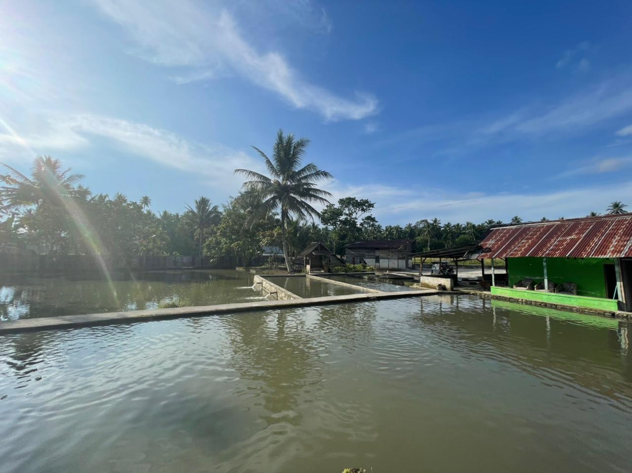 Kolam Pemancingan Tabang - Kotamobagu, Sulawesi Utara