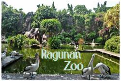 Kebun Binatang Ragunan Jakarta