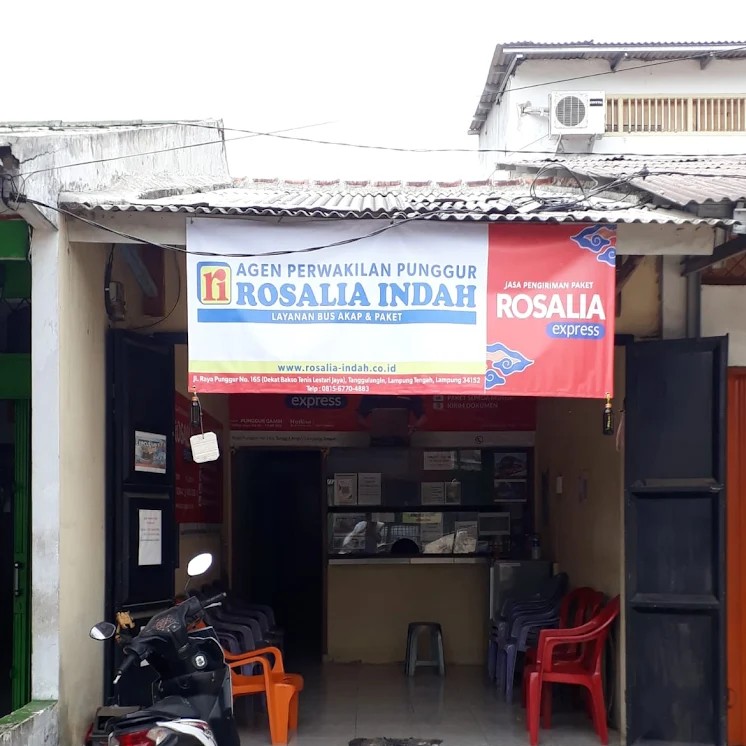 PO Rosalia Indah Punggur - Lampung Tengah, Lampung PO Rosalia Indah Punggur - Lampung Tengah, Lampung