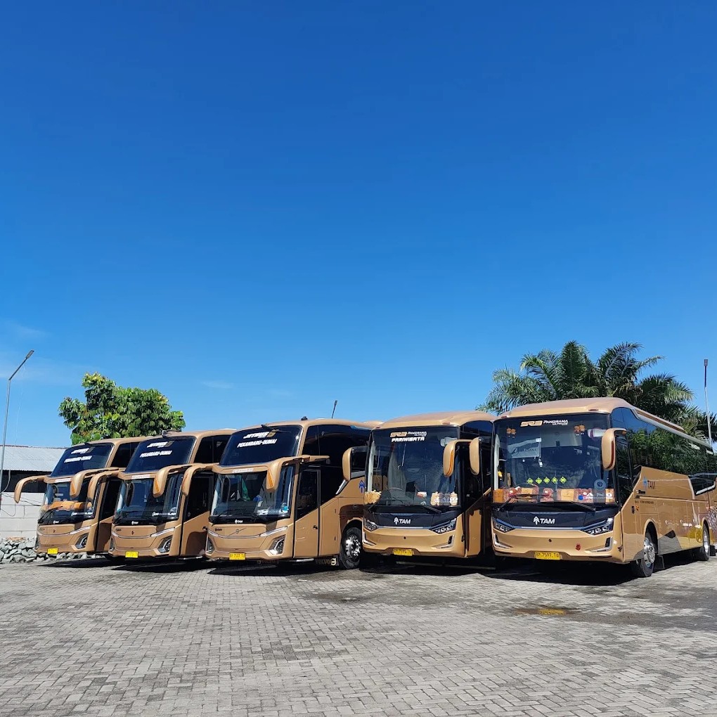 Bus Tam - Pekanbaru, Riau Bus Tam - Pekanbaru, Riau