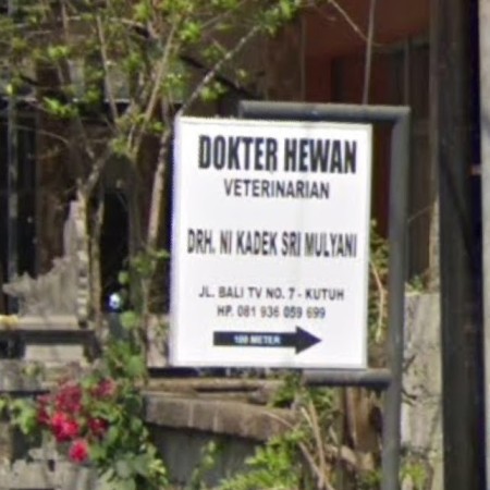 Dokter Hewan - Veterinarian Ni Kadek Sri Muliyani - Badung, Bali