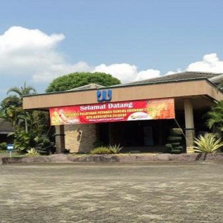 Hotel Wijaya Kusuma Swimming Pool Cilacap - Cilacap, Jawa Tengah